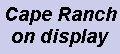 Cape on display